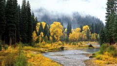 Water Landscapes nature Trees