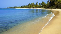 Water Landscapes nature Trees