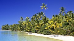 Water Landscapes nature Trees