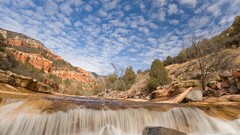 Water Landscapes nature Trees