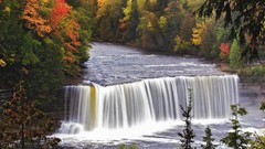 Water Landscapes nature Trees