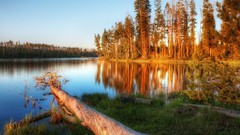 Water Landscapes nature Trees