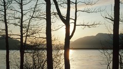 Water Landscapes nature Trees