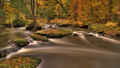 Water Landscapes nature Trees