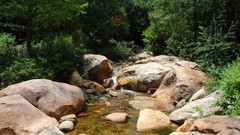 Water Landscapes nature Trees