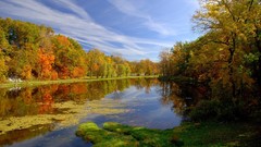 Water Landscapes nature Trees