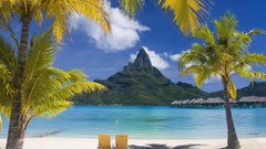 Water Landscapes palm trees