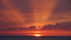 Water Landscapes sunlight