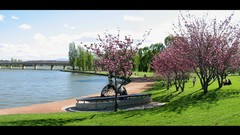 Water Landscapes Trees