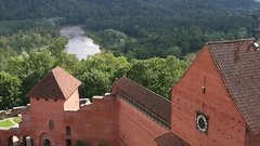 Water Landscapes Trees