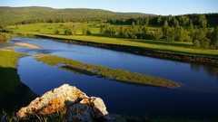 Water Landscapes Trees
