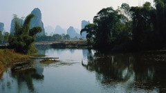 Water Landscapes Trees