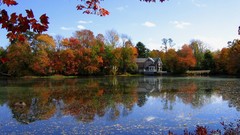 Water Landscapes Trees