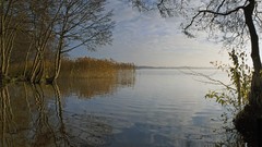 Water Landscapes Trees
