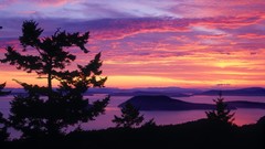 Water Landscapes Trees