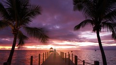 Water Landscapes Trees