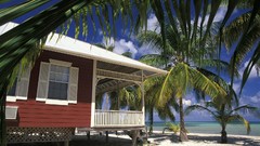 Water Landscapes Trees Beaches