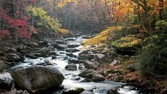 Water Landscapes Trees forests