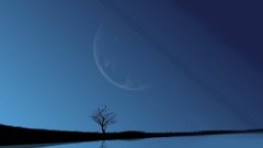 Water Landscapes Trees moon