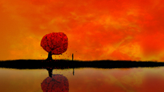 Water Landscapes Trees orange