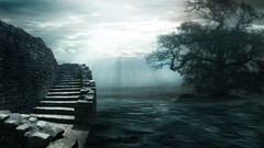 Water Landscapes Trees sunlight