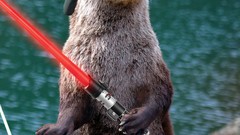 Water lightsabers Otters yoda