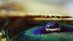 Water macro depth of