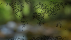 Water Maps continents water