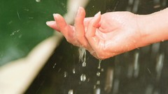 Water Mark artwork scans