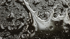 Water monochrome water drops