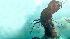 Water Monsters Crocodiles alligators