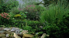 Water morning Garden Tennessee