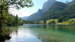 Water Mountains Ducks nature