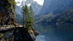 Water Mountains Landscapes Trees