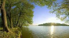 Water Mountains nature Trees