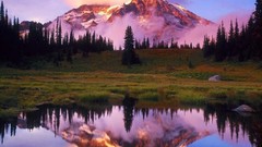 Water Mountains nature Trees