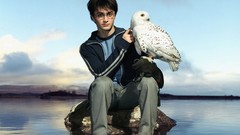 Water Movies Daniel Radcliffe harry potter Owls Hedwig