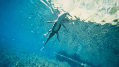 Water national geographic Florida