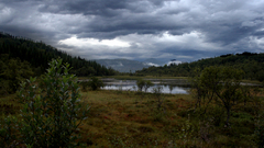 Water nature autumn forests