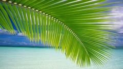 Water nature Beaches