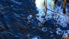 Water nature bubbles