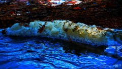 Water nature foam bubbles