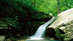 Water nature forests rocks