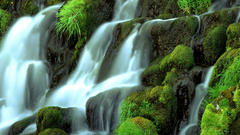 Water nature forests waterfalls
