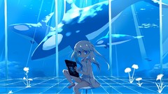 Water nature killer whales