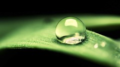 Water nature leaves water