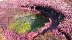 Water nature rivers Crystal