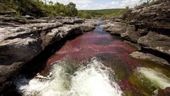 Water nature rivers Crystal