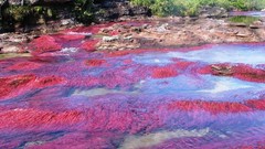 Water nature rivers Crystal