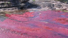 Water nature rivers Crystal